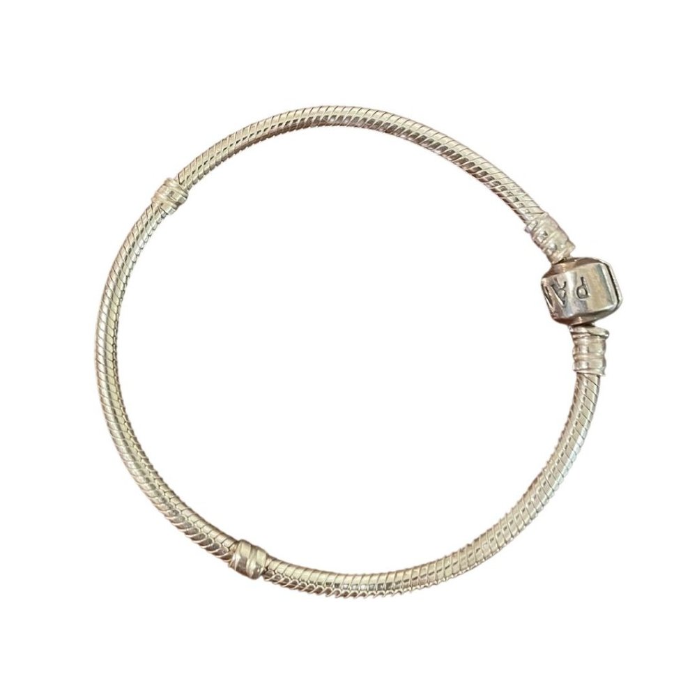 Pandora Silver Moments Bracelet
